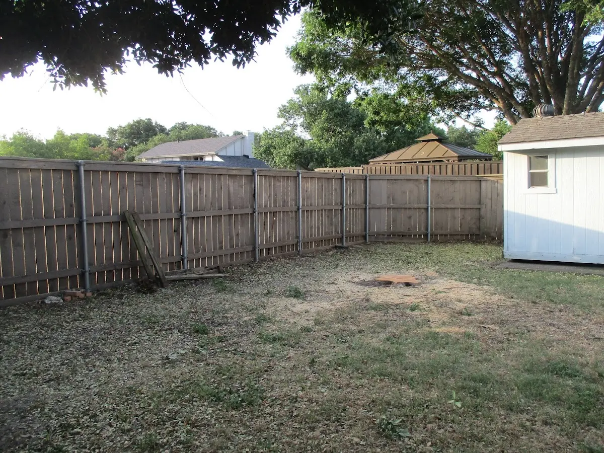 Cleared yard after professional tree removal in Hay Springs
